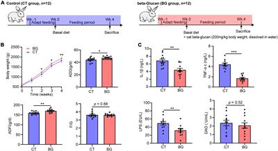 Modulating gut microbiota and metabolites with dietary fiber oat β-glucan interventions to improve growth performance and intestinal function in weaned rabbits